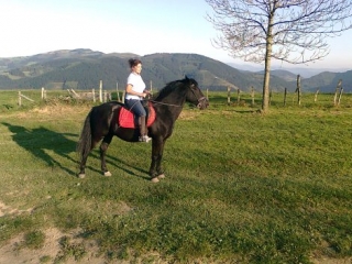  dans le champ 